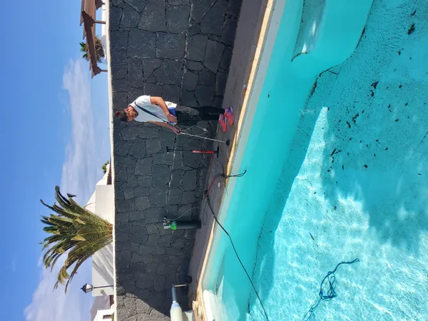 Comprehensive Swimming Pool Survey detail 1