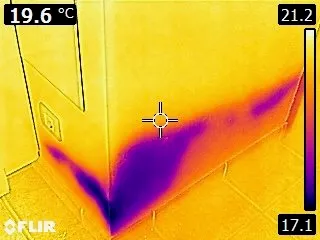 Thermal Imaging & Damp Survey detail 2
